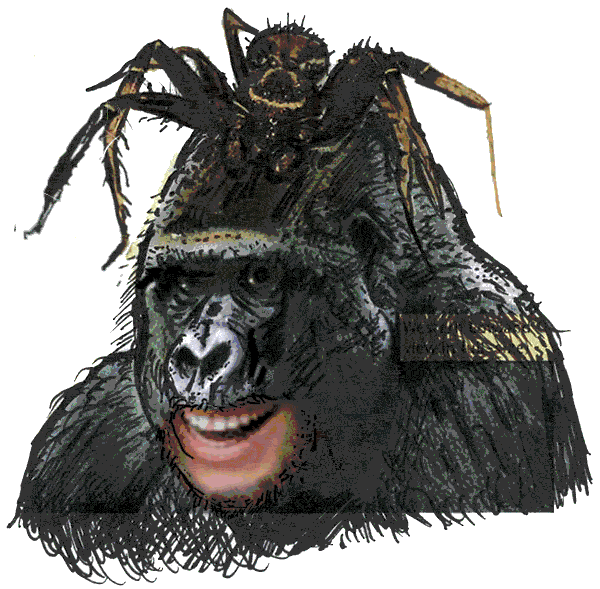 SQRRL