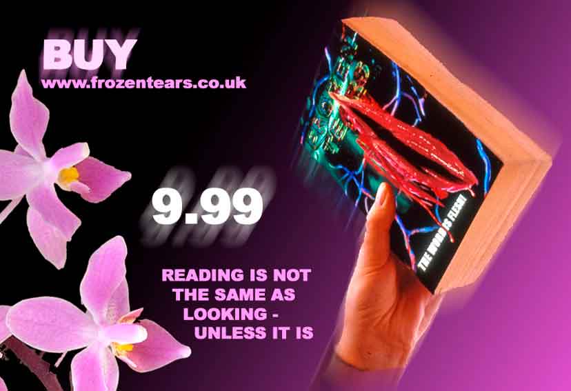 Frozen Tears I 5